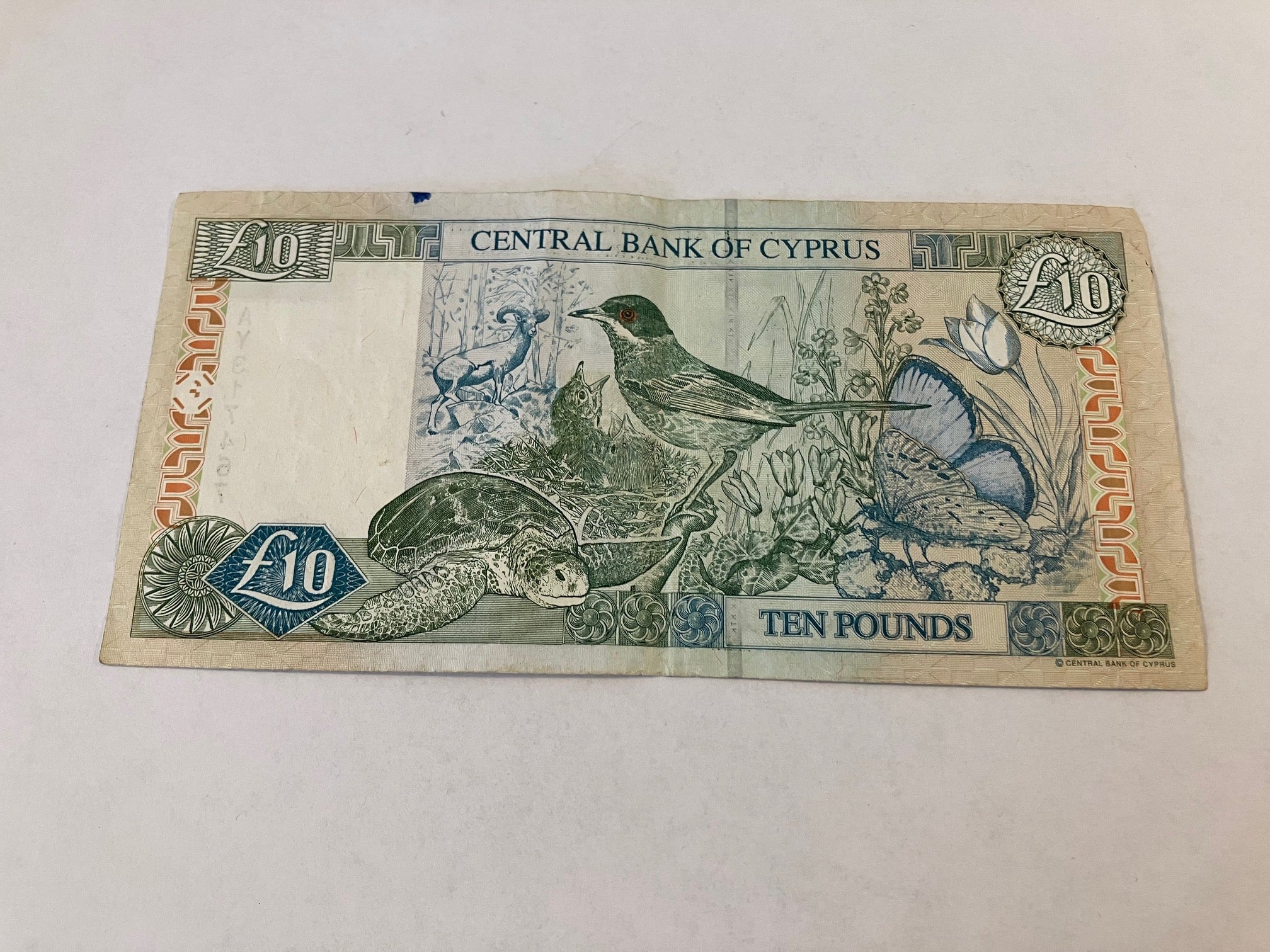 10 Pounds Cyprus 2003