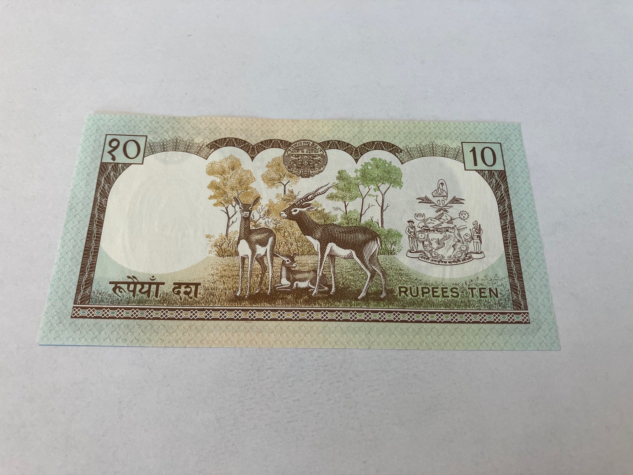 10 Rupees Nepal