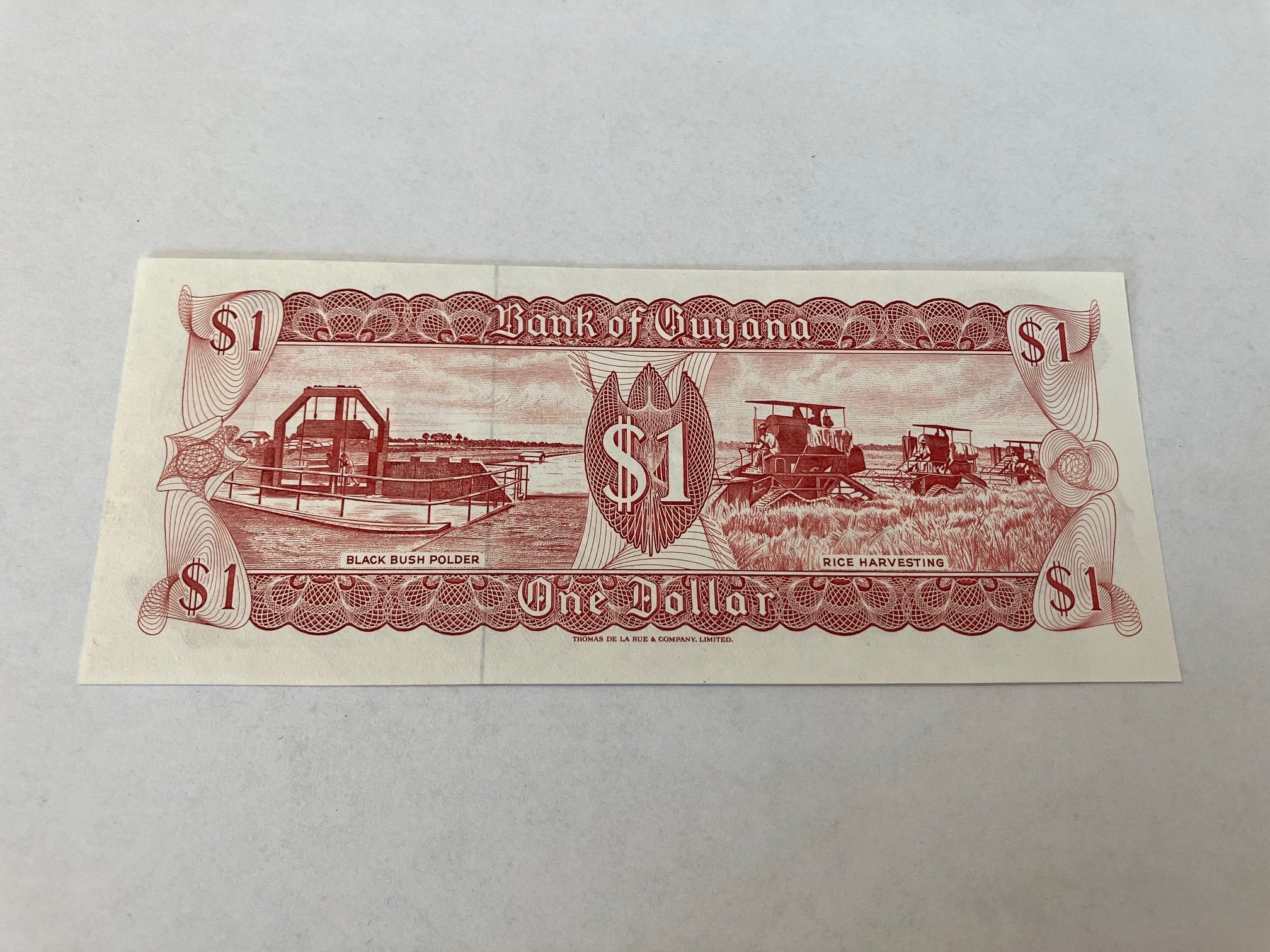 1 Dollar Guyana