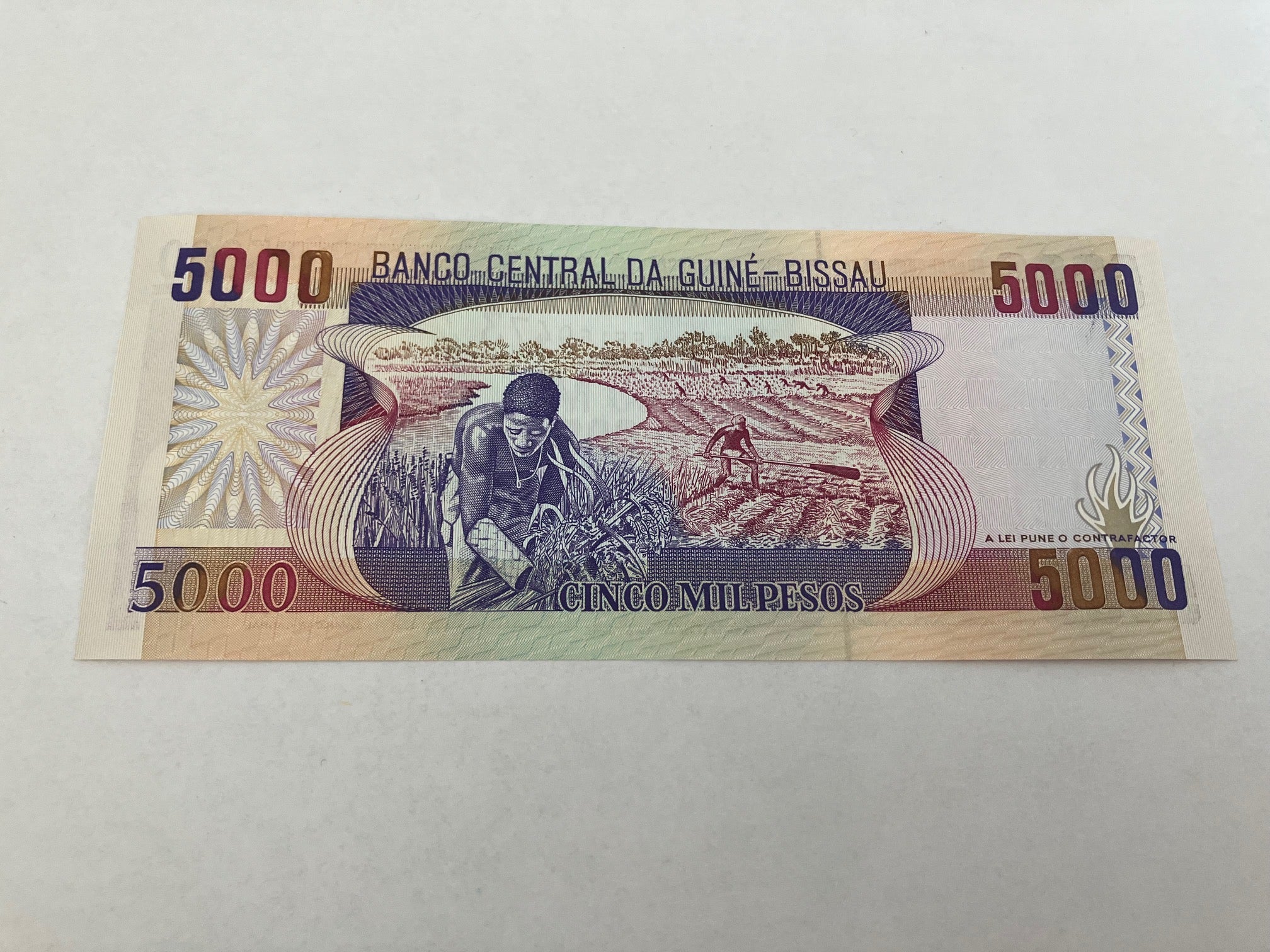 5000 Pesos Guinea Bissau