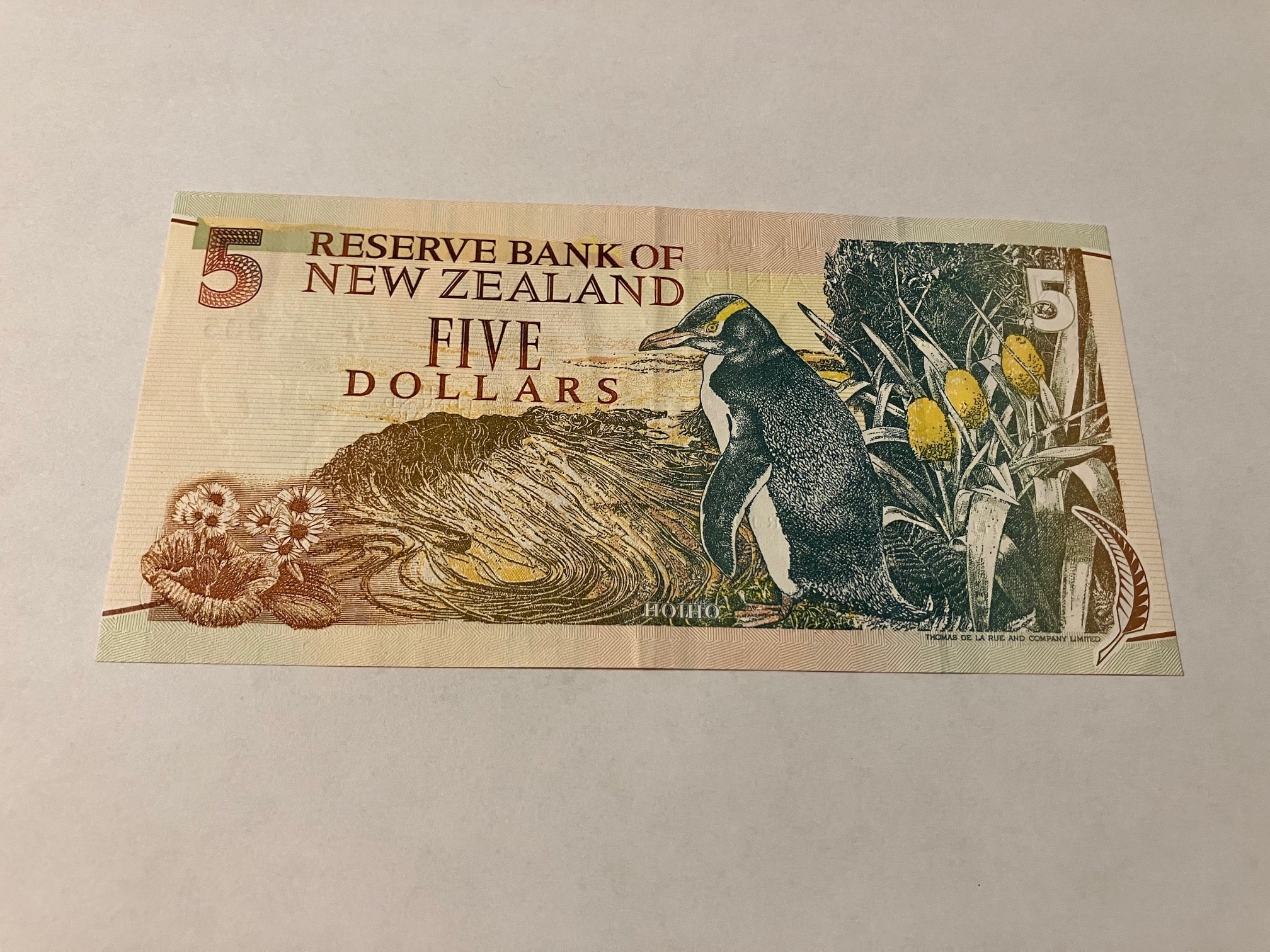 5 Dollars New Zealand
