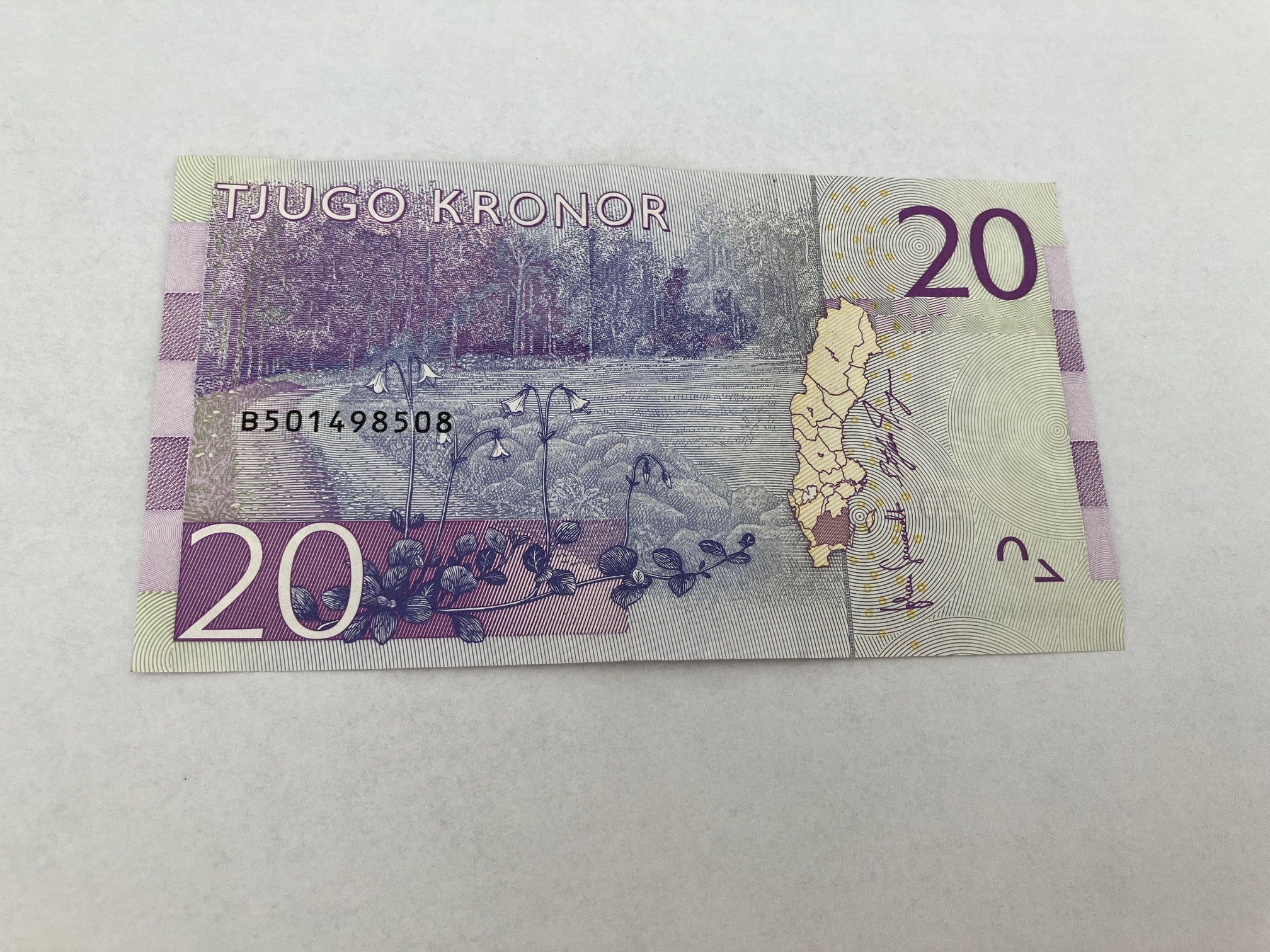 20 Kronor Sweden