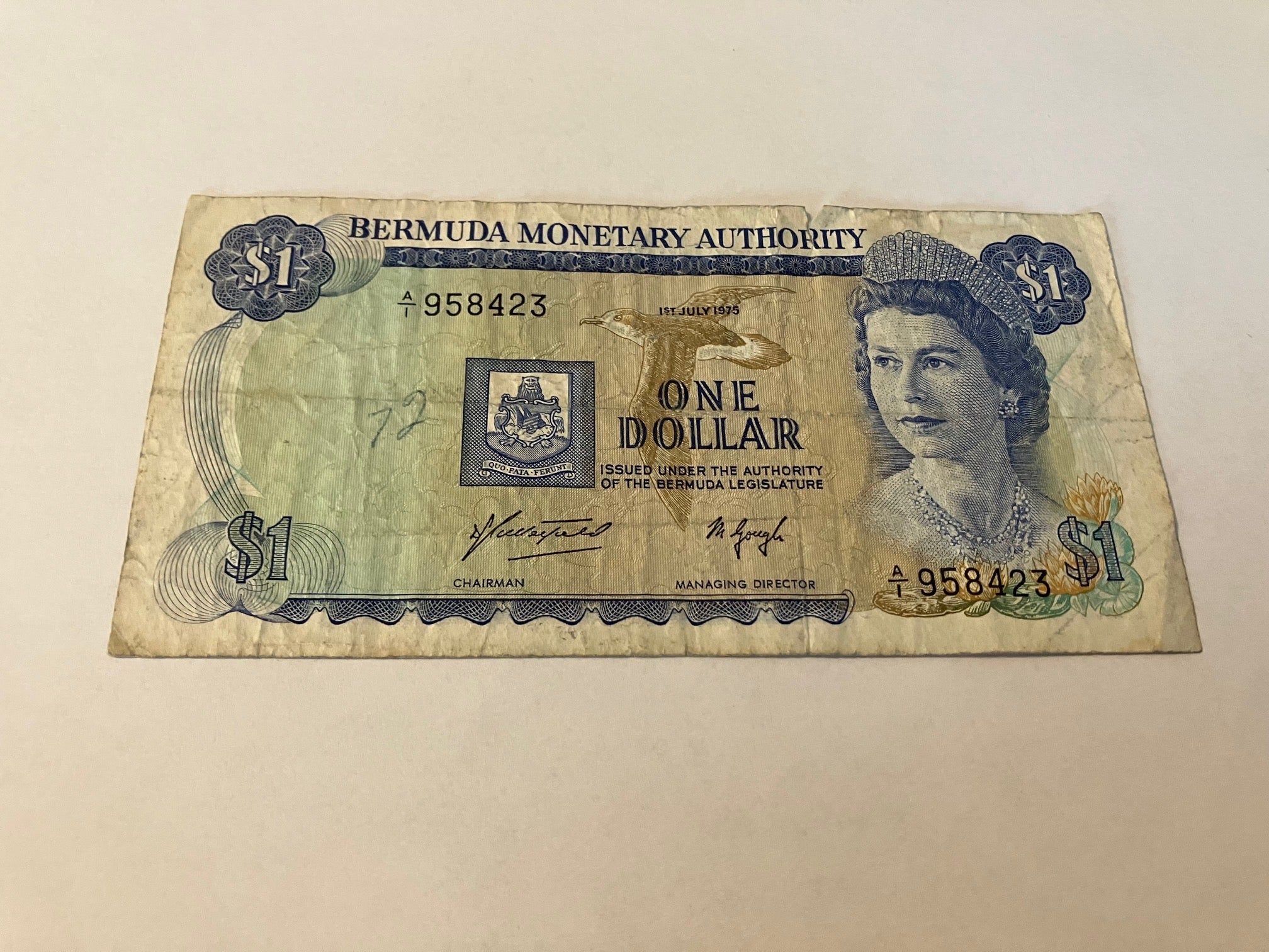 One Dollar Bermuda - Slidt