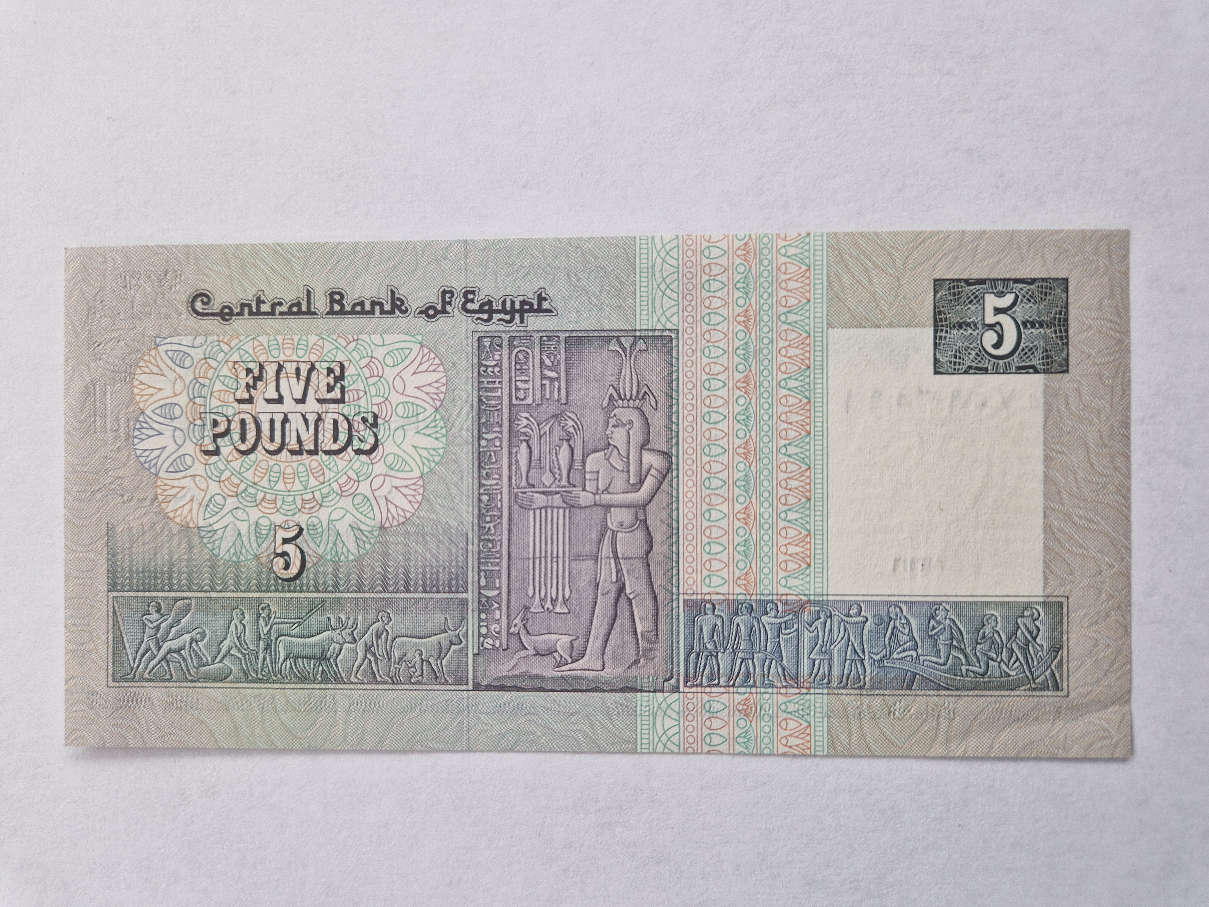 Five Pounds Egypt