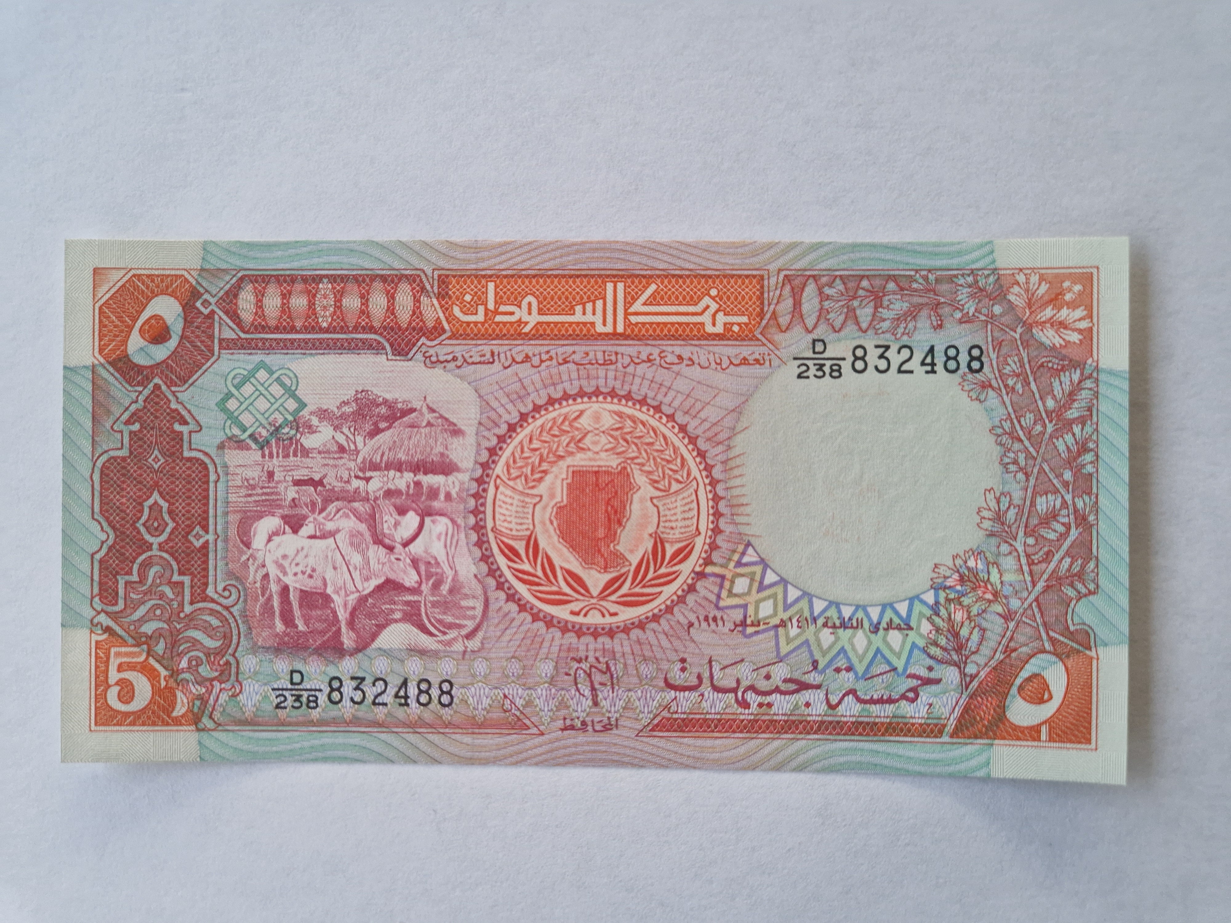 Five Pounds Sudan