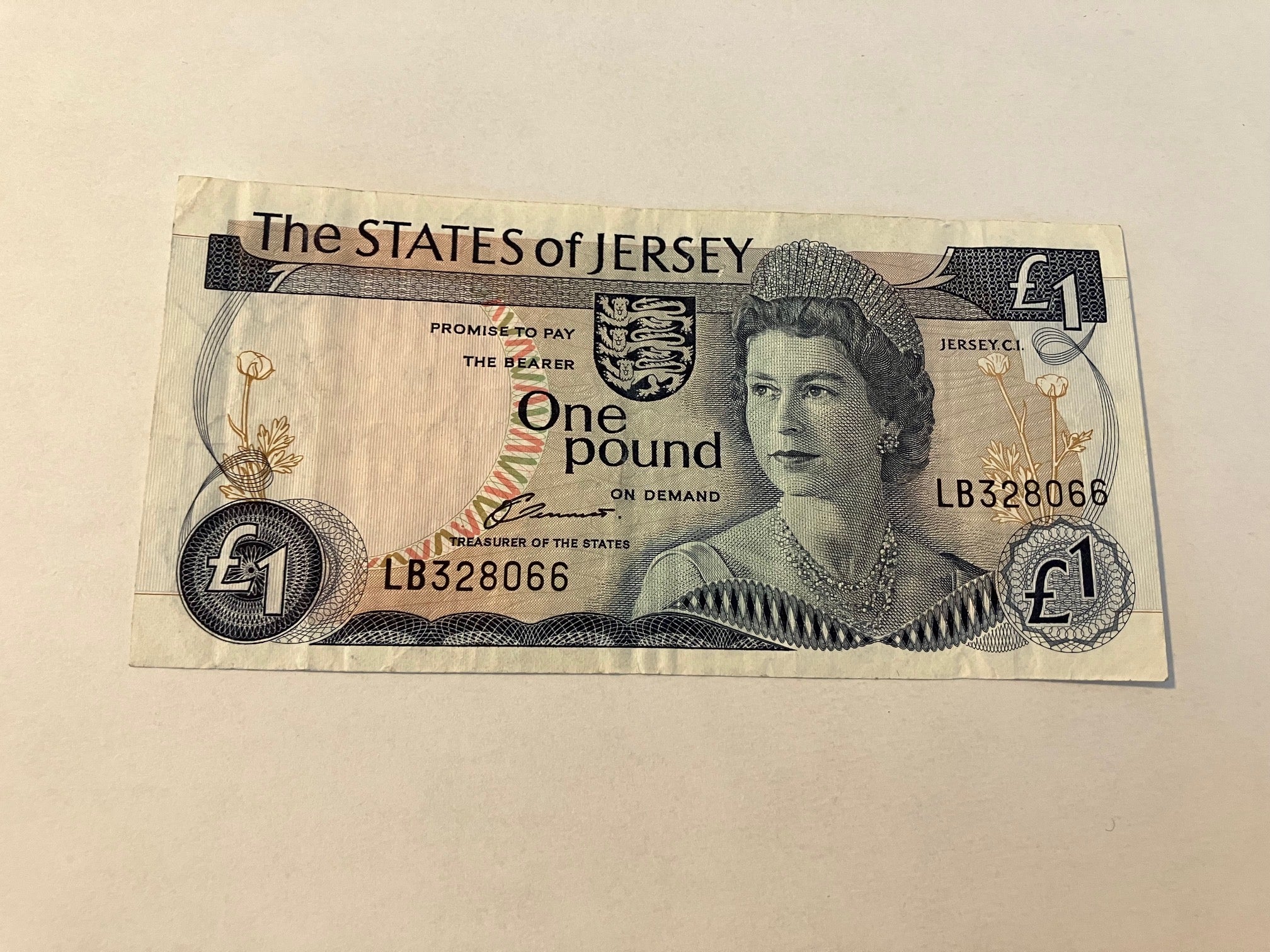 One Pound Jersey
