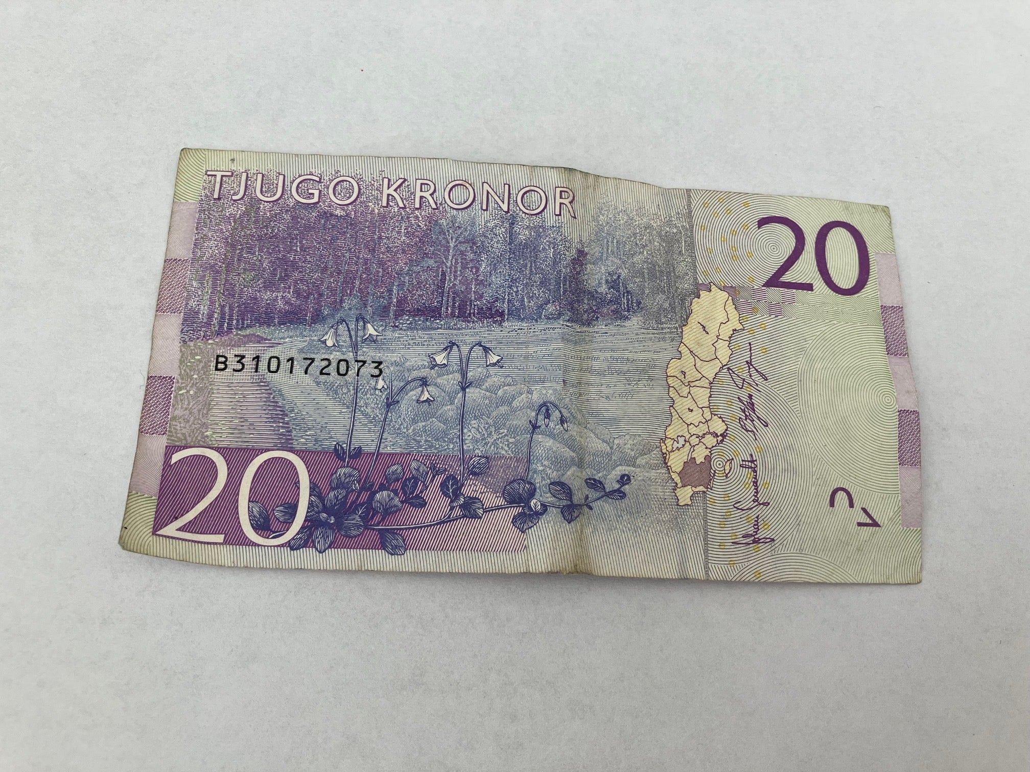 20 Kronor Sweden