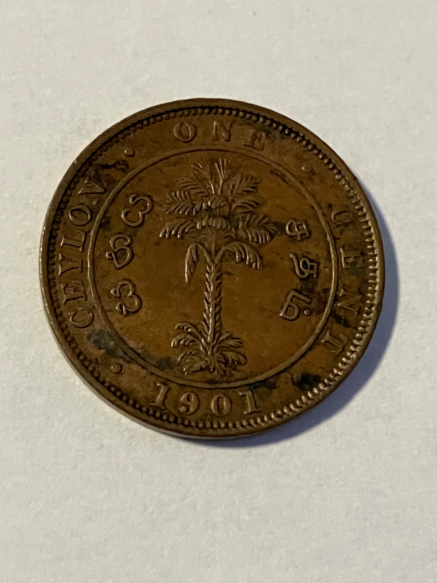 One Cent Ceylon 1901