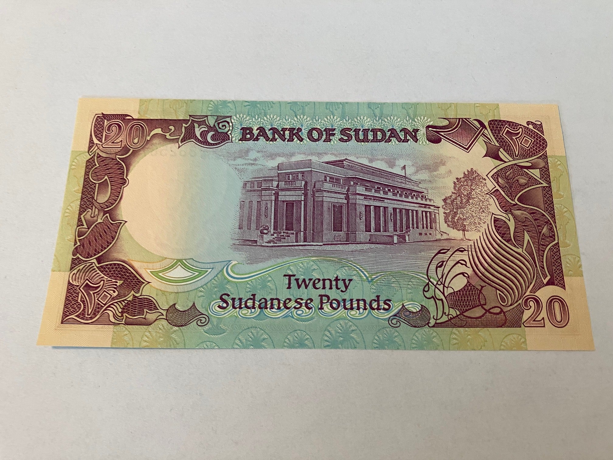20 Pounds Sudan