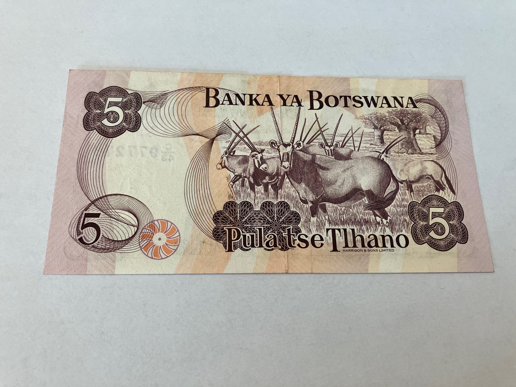 5 Pula Botswana