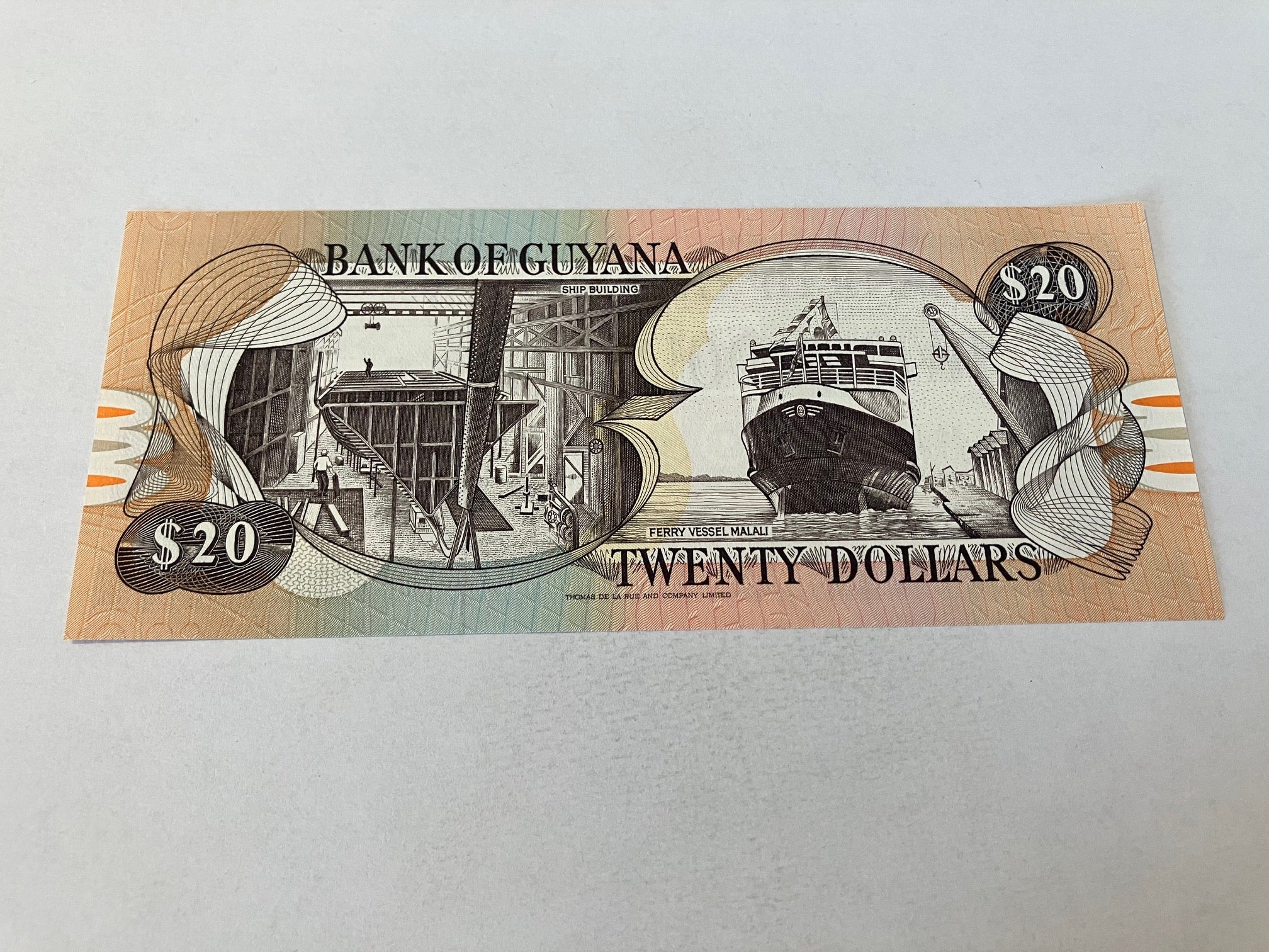 20 Dollars Guyana