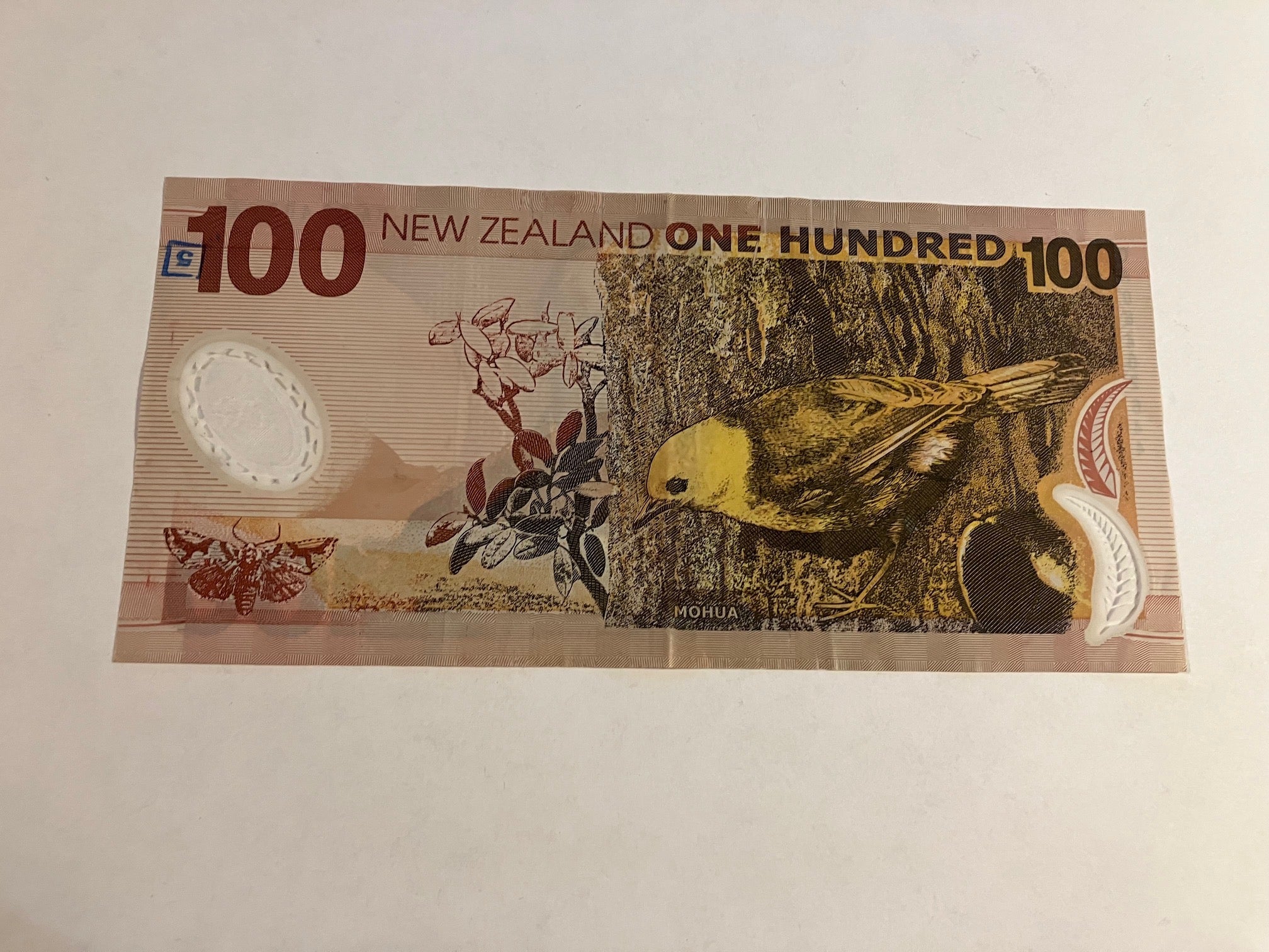 100 Dollars New Zealand