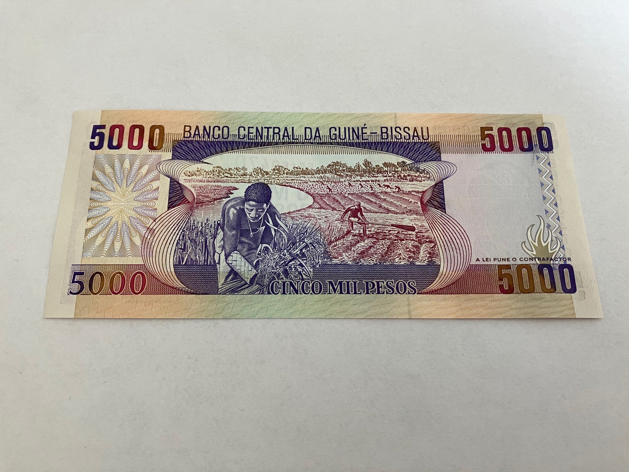 5000 Pesos Guinea Bissau