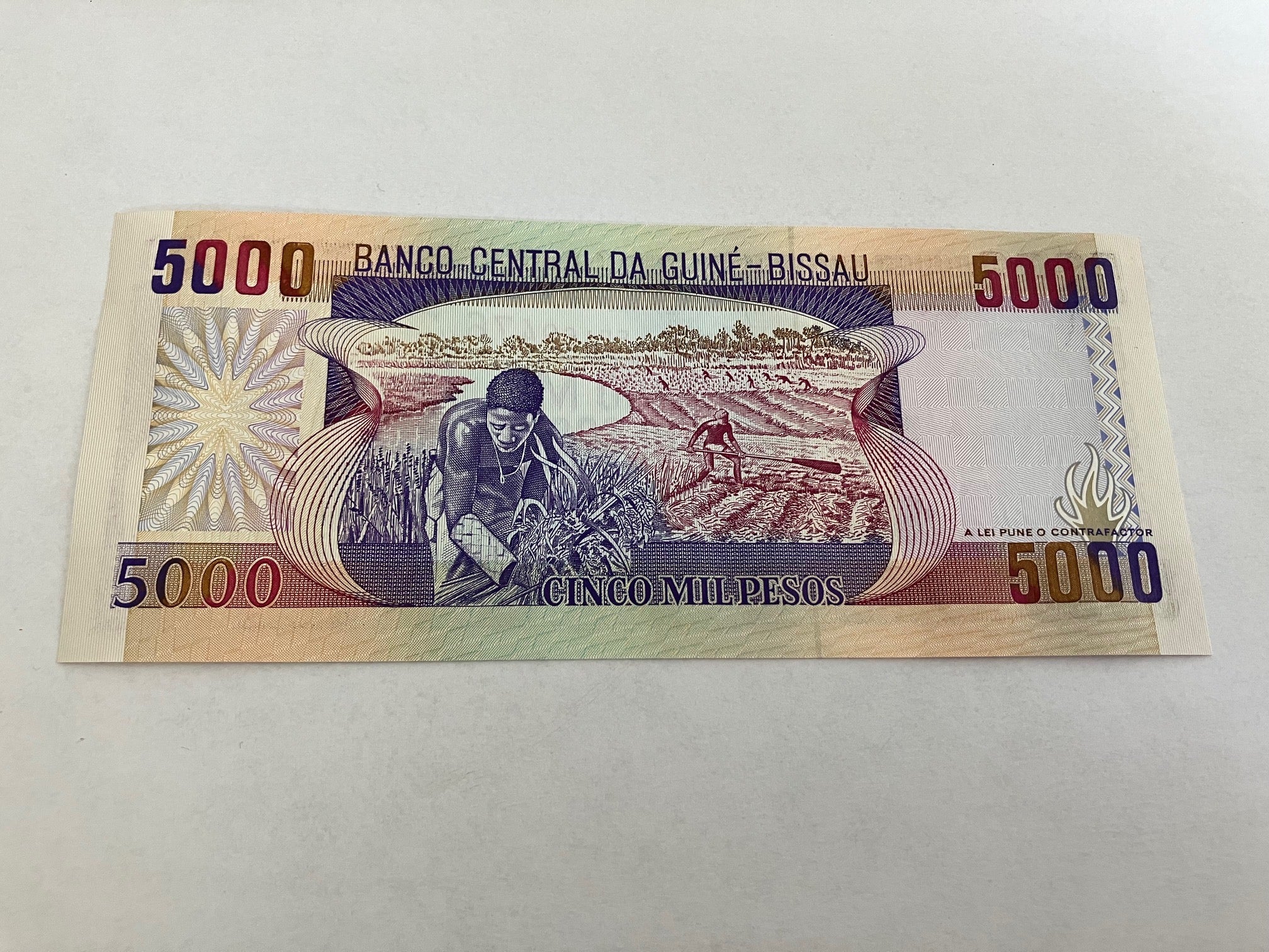 5000 Pesos Guinea Bissau
