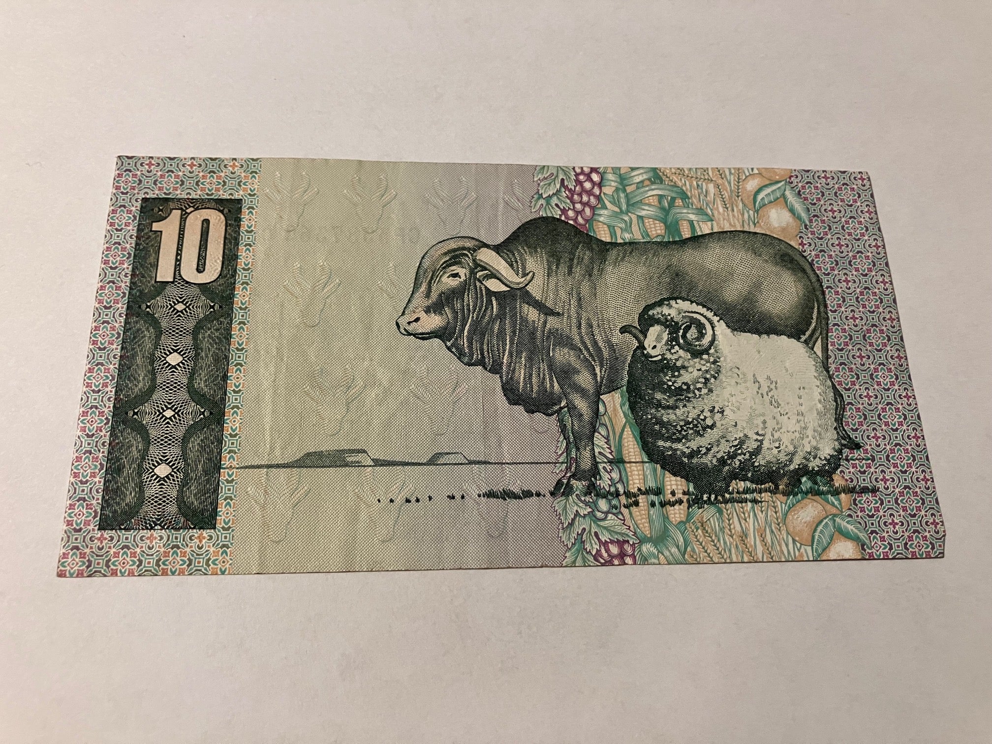 10 Rand South Africa