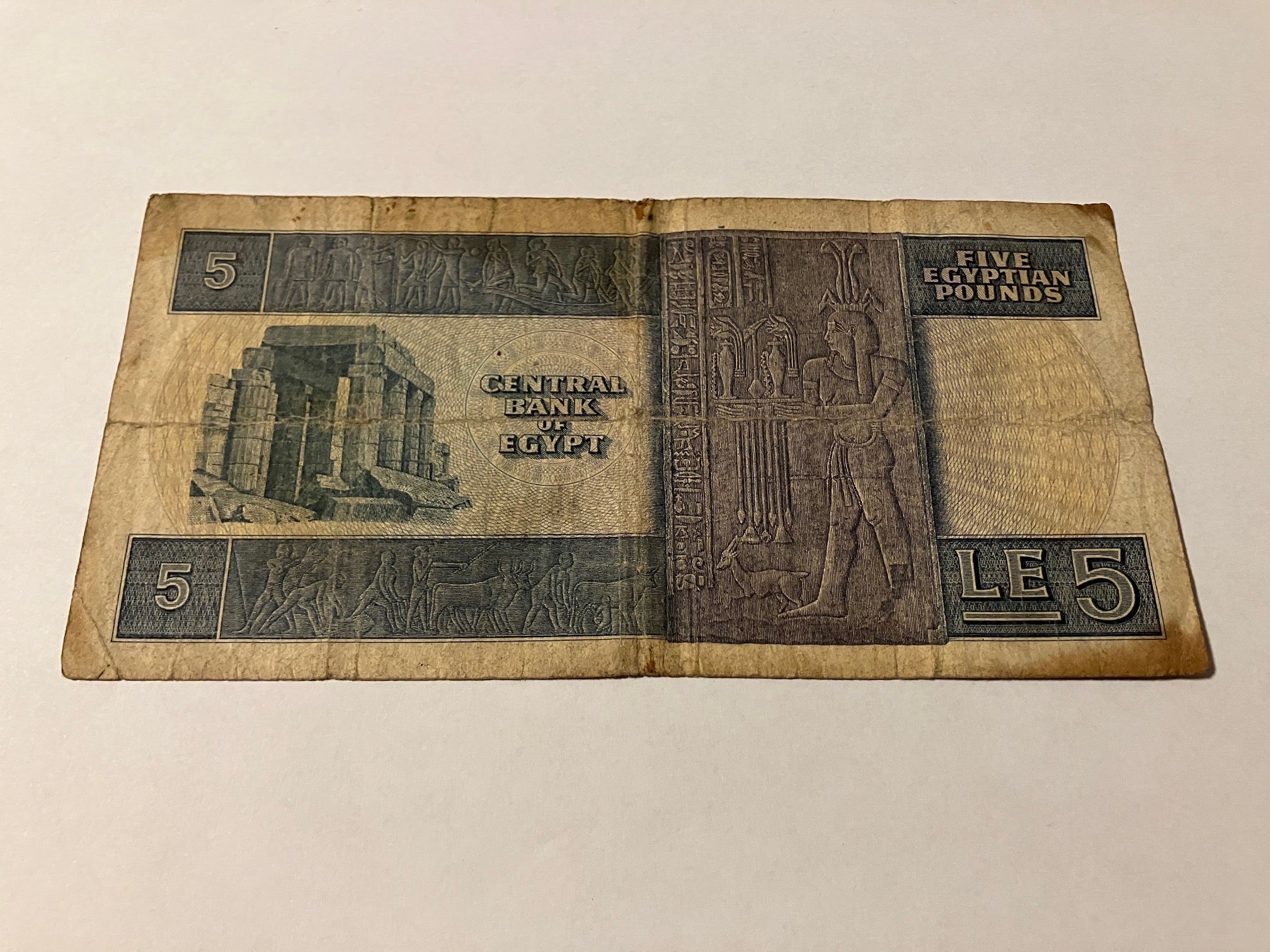 5 Pounds Egypt