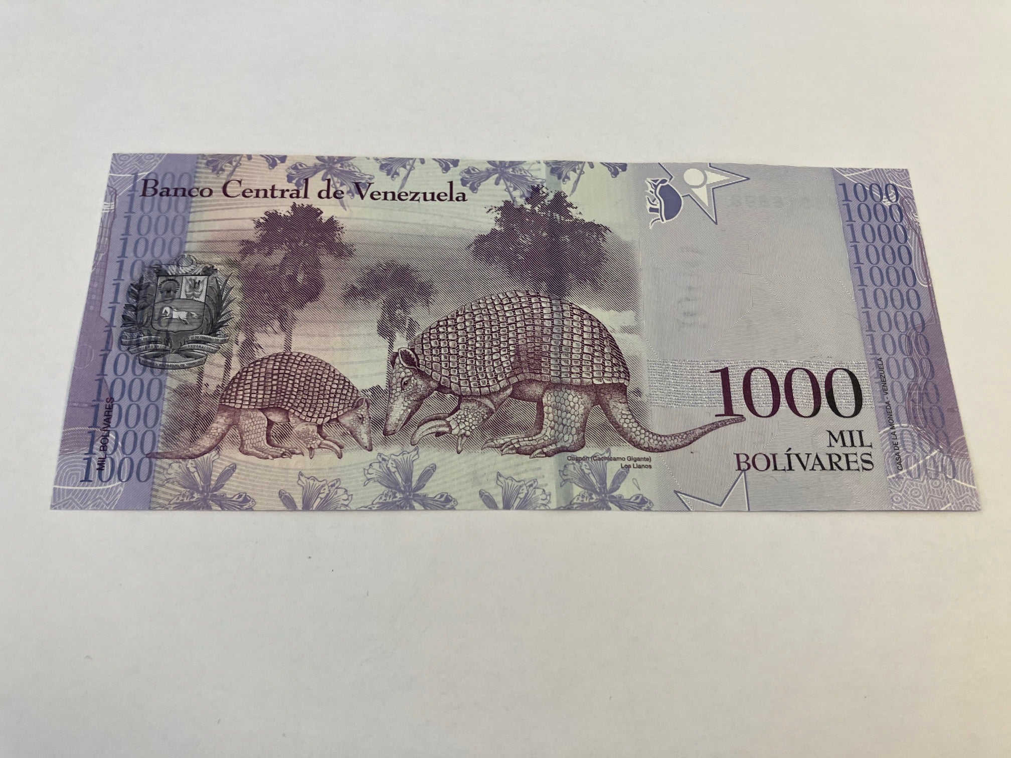 1000 Bolivares Venezuela