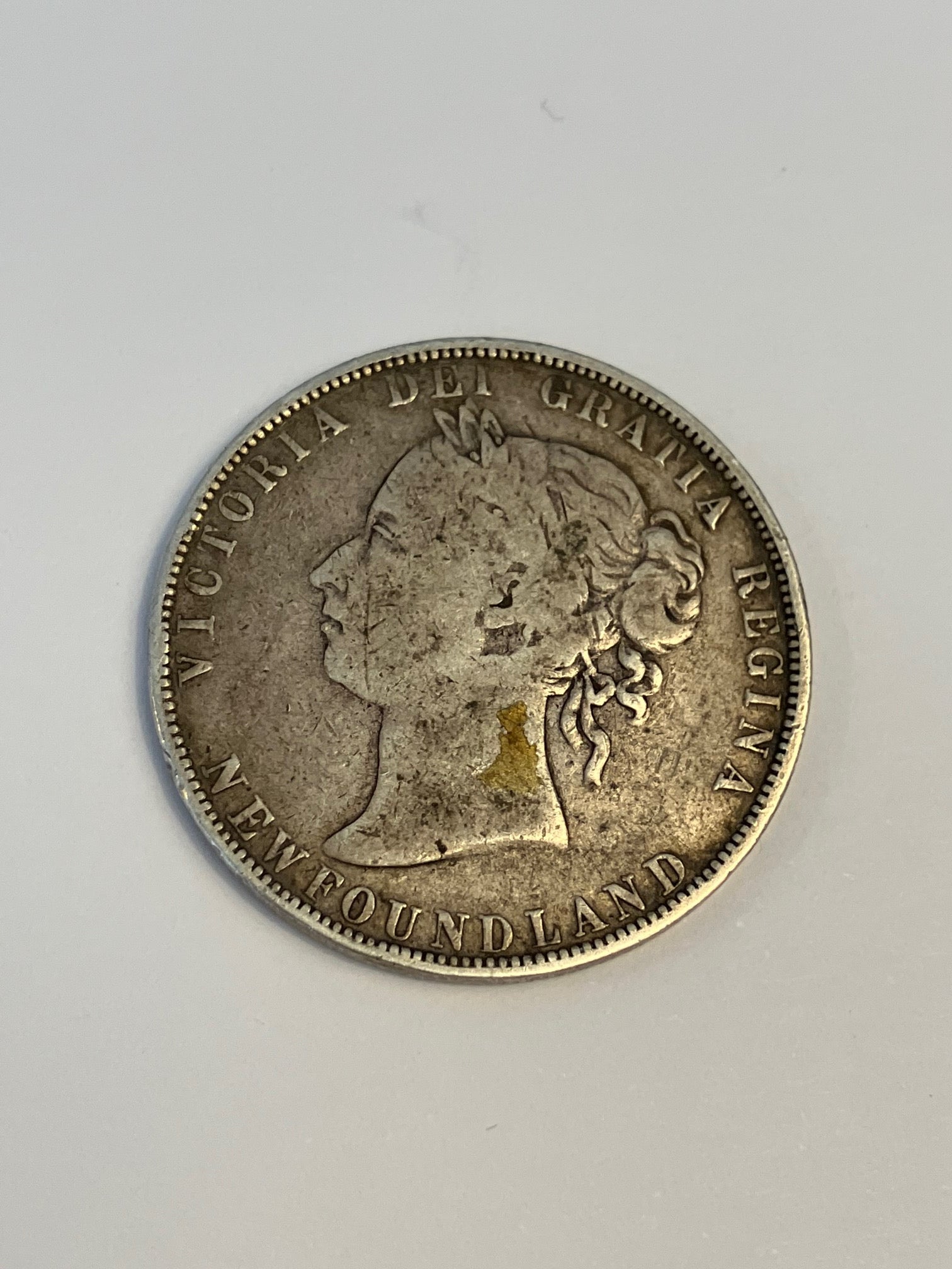 50 Cents Newfoundland 1899