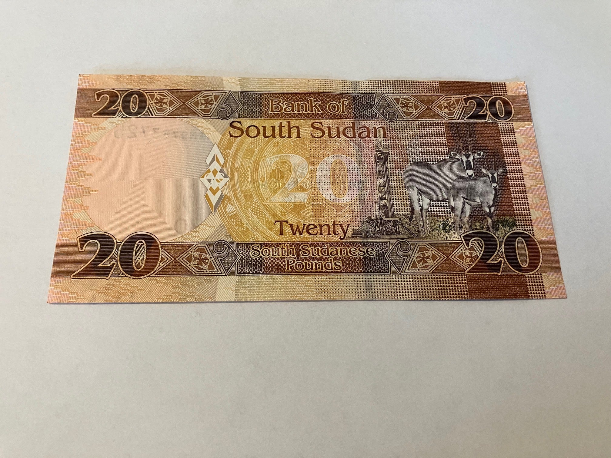 20 South Sudanese Pounds 2017